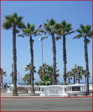Top of Europe and Swiss Palm Trees